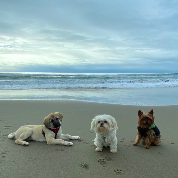 Nice to meet you - Picture 3 of 7